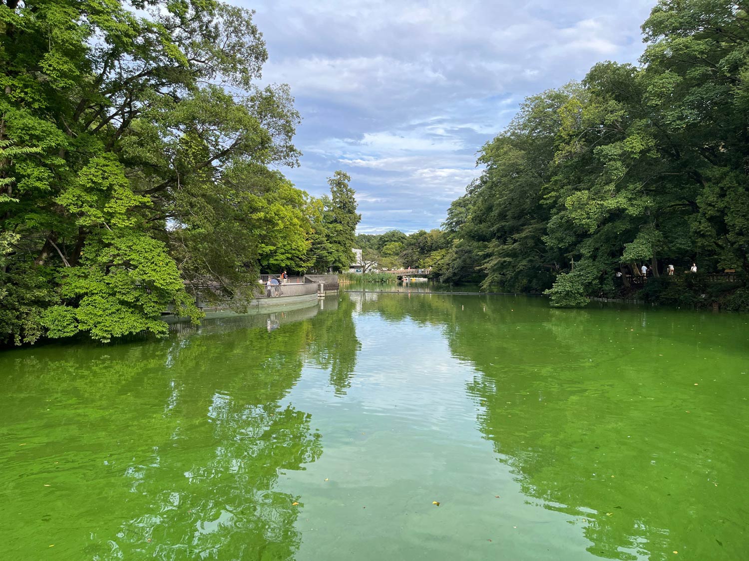 検出対象の写真。正解は井の頭公園にある「井の頭池」