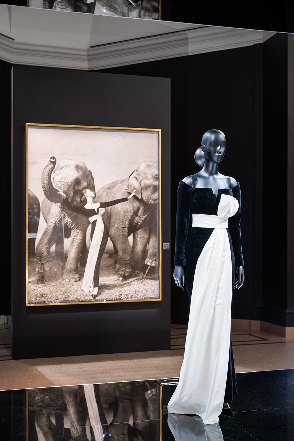 リチャード・アヴェドンがハーパーズバザー誌のために撮影した写真でモデルが着用したドレス。象と一緒の写真は大いに話題を呼んだ。