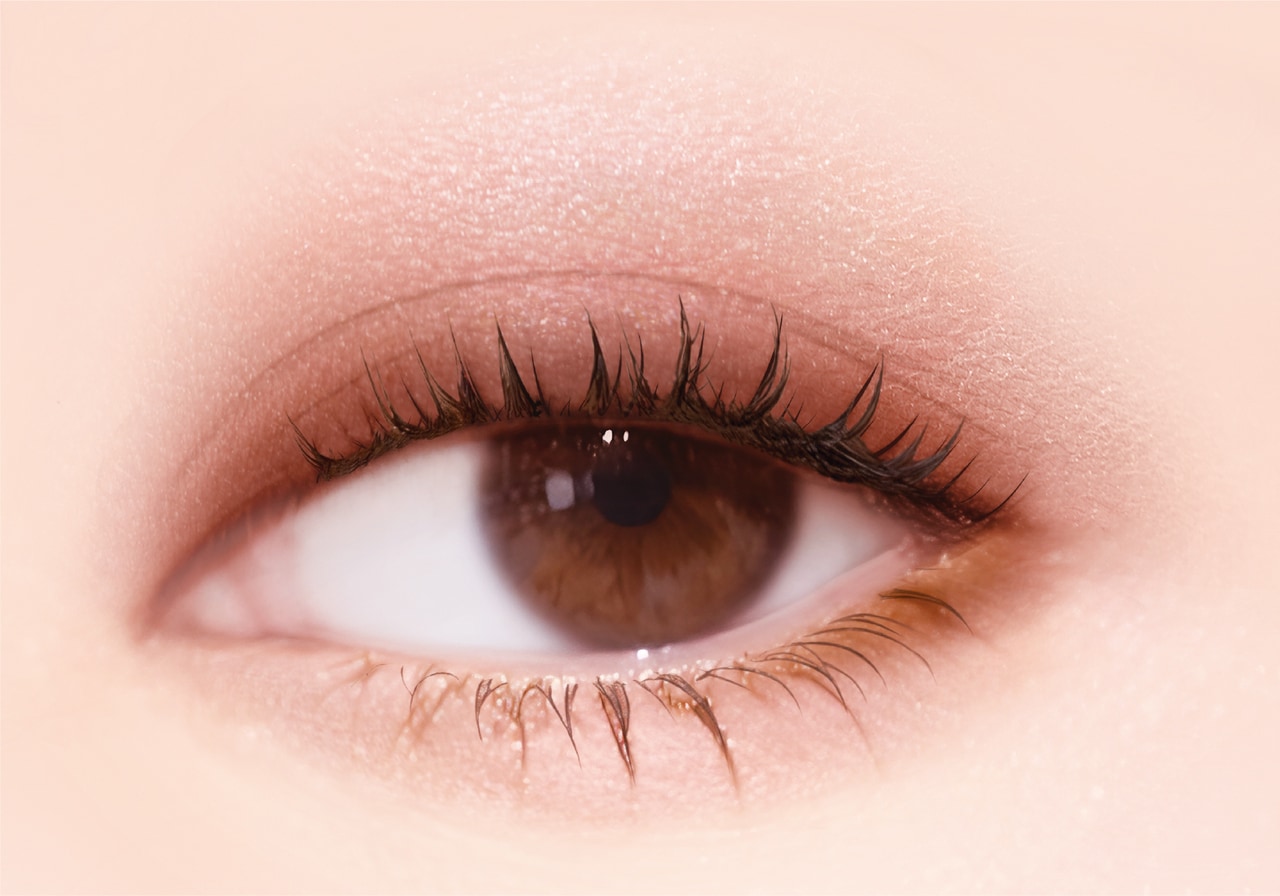 ＳＫ０６　センシュアルブラウン 使用イメージ。