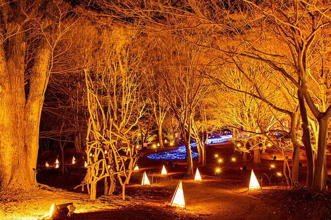 スターライトイルミネーション。