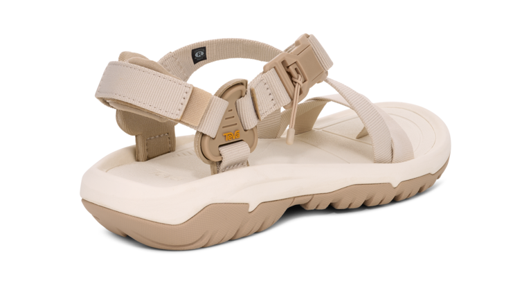 「Hurricane Terra Dactyl」