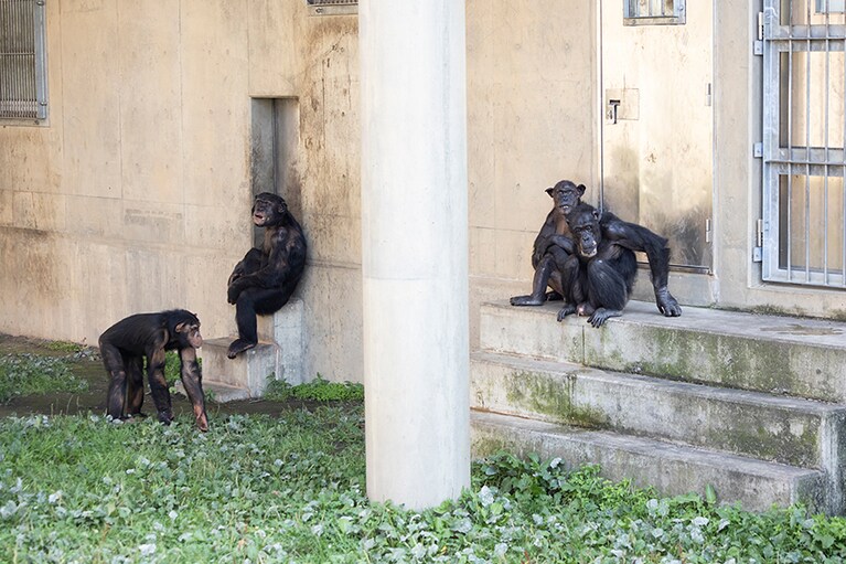 日陰に集っています。