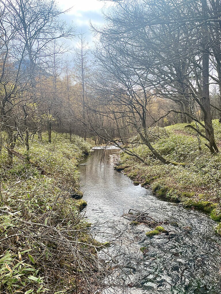 光徳沼の下流を流れる「逆川」。