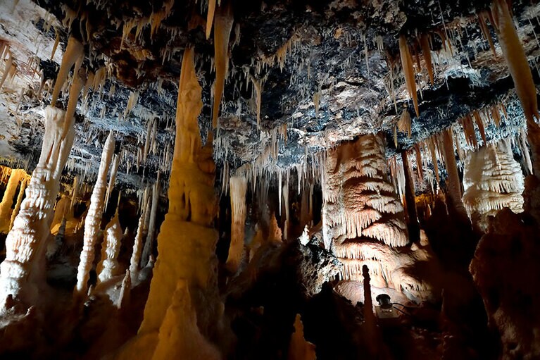 広さ約1,000坪、約375mにわたって続く幻想的な世界。