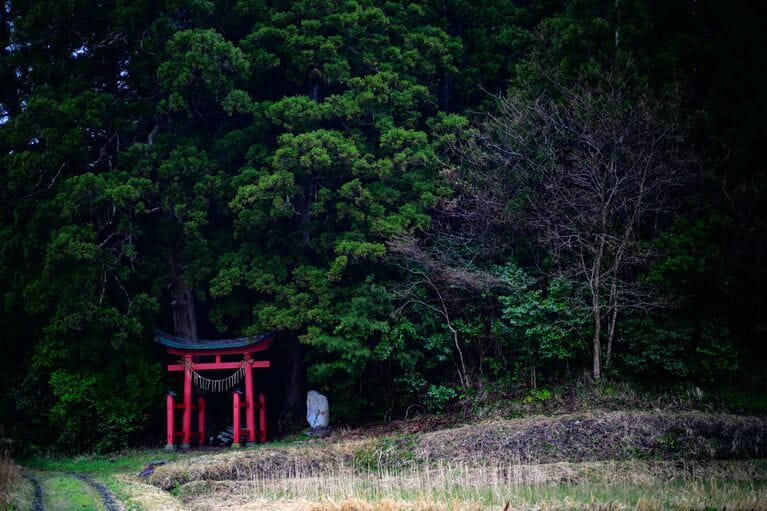 写真はイメージです。提供：アフロ