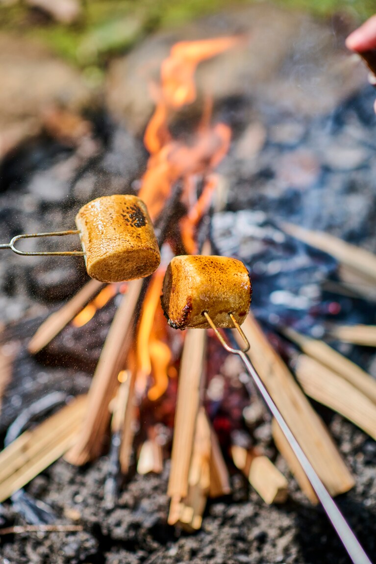 焚き火メシの本。