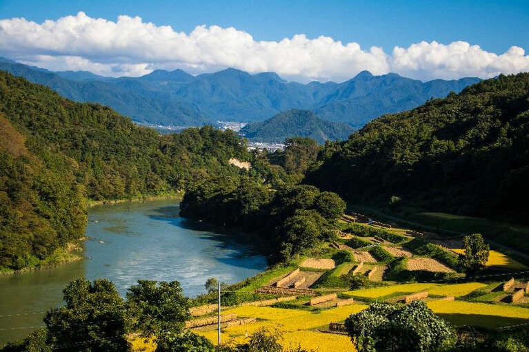 千曲川と棚田のはぜかけ。