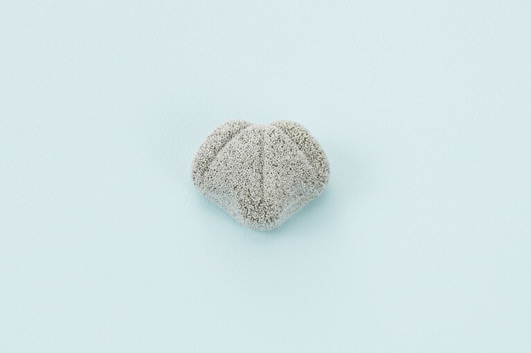 求肥製「籬の緑」540円。6月30日（月）まで。