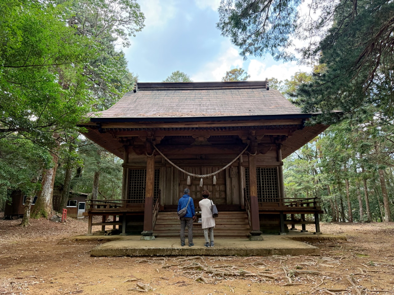 緑の中にひっそりと佇む本殿。訪れる人が少ないので静かだ。