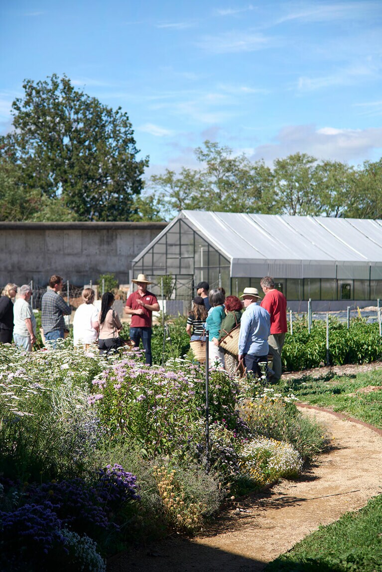 左：瓶で熟成された自家製のピクルスや調味料。
右：料理教室の前に、自家菜園で野菜を収穫する。ガイド役はオーナーのひとり、ロドニー・ダン氏。