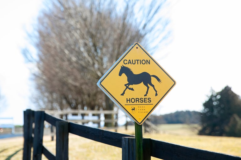 道はお馬さん優先です。
