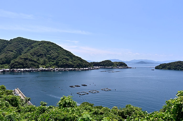 ブランド牡蠣「夏珠」は穏やかな伊根湾で育成。