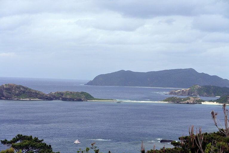 この海のどこかにクジラたちが……。2023年冬、彼らは遅めにやってきて、早く戻っていってしまったとの声も。