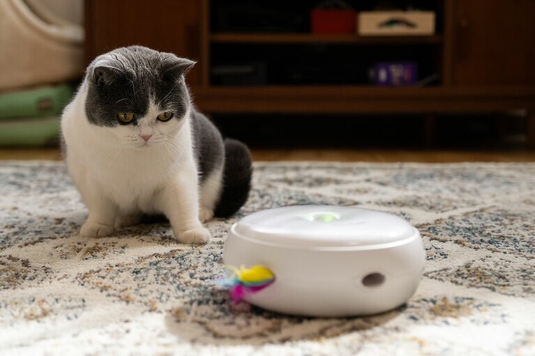 ちょっとびっくりしたかな？