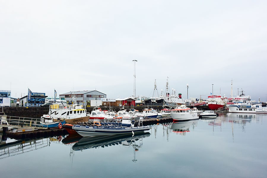 プレジャーボートやホエール・ウォッチング船、大型漁船などが港を占めるレイキャヴィーク港。