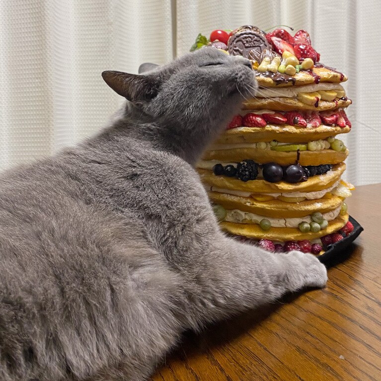 うちの子ベストショット①「いや、そこのマーキングいる？」