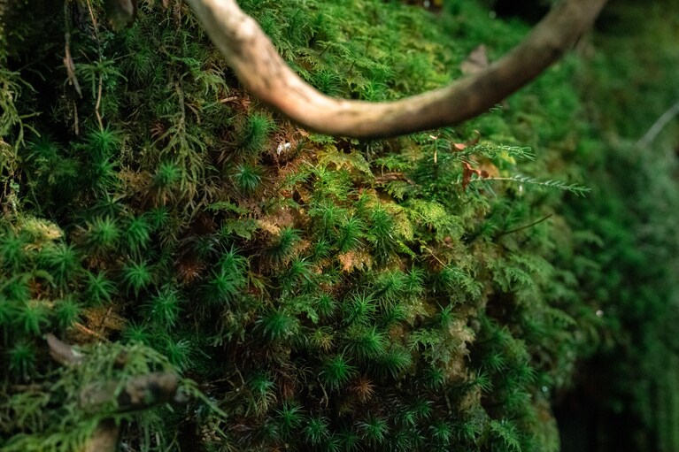 長野県・硫黄岳の旅＜赤岳鉱泉へ＞