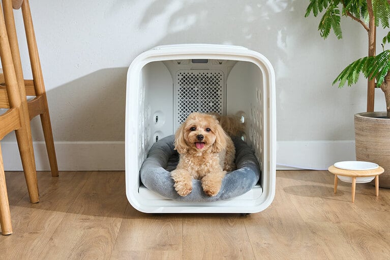 nello「ペットドライルーム」107,800円。