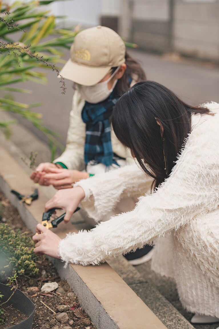 タイムはビタミンやミネラルが豊富なハーブ。料理の風味づけにも大活躍。