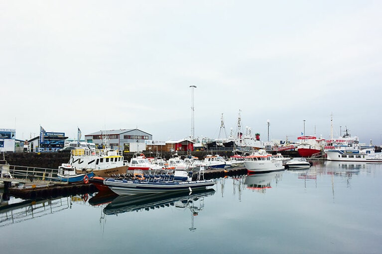 プレジャーボートやホエール・ウォッチング船、大型漁船などが港を占めるレイキャヴィーク港。