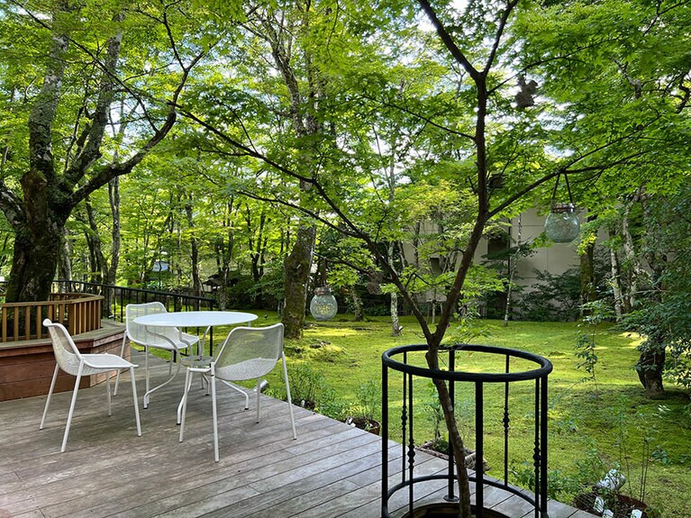 日々秋が深まる庭を見ながら。