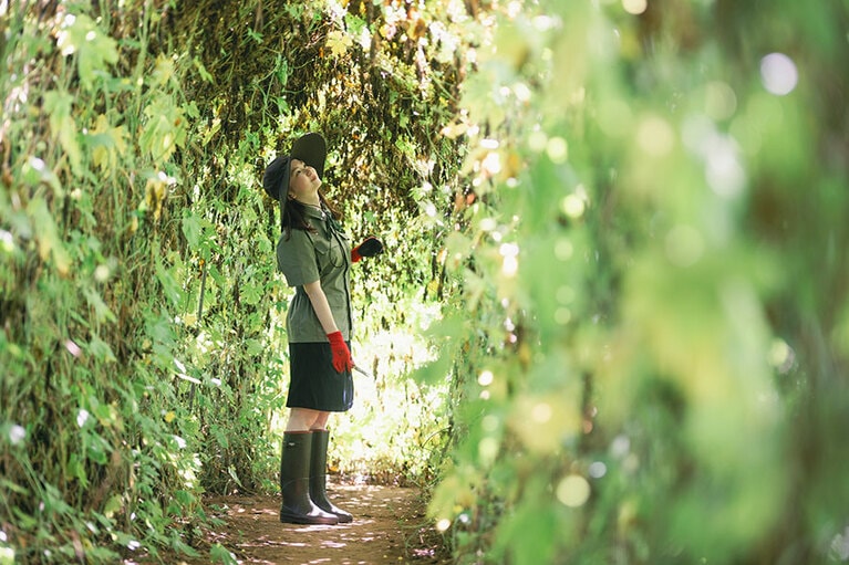 森に迷い込んだような錯覚に陥る。